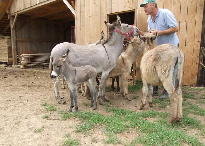 Tourist Farm Ob Izviru Krupe